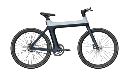 E-Bike X Pro 25 km/h, 250W, 10Ah Samsung Akku, Unisex