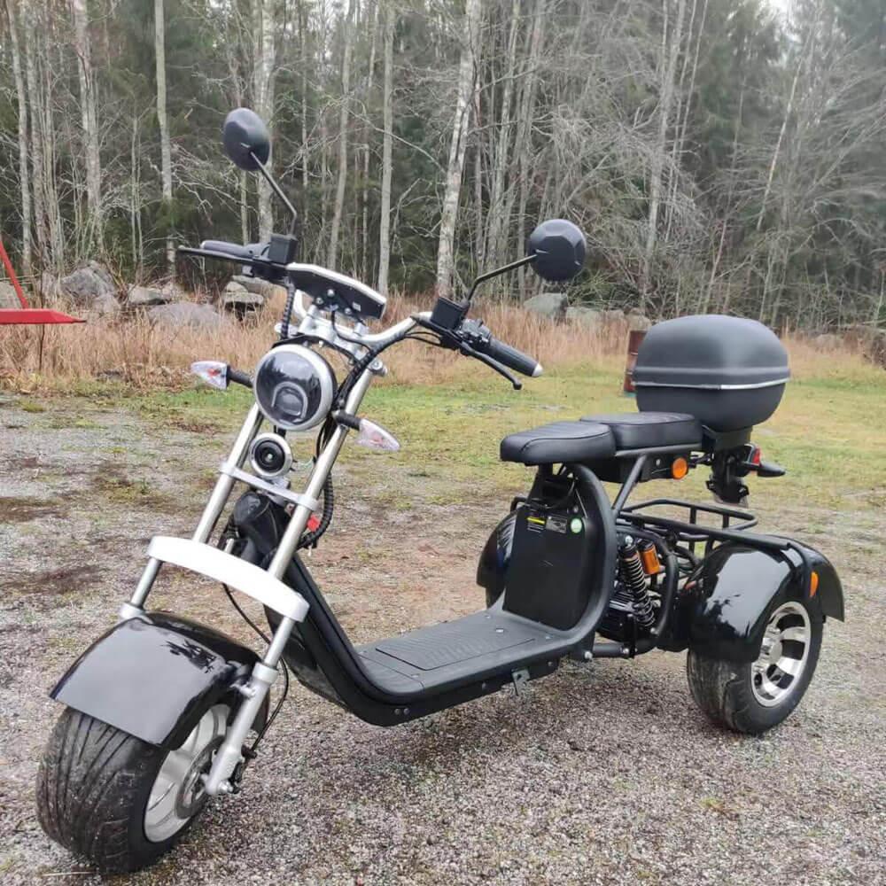 E-Trike 45 km/h 2000W schwarz - E-Streetbikes